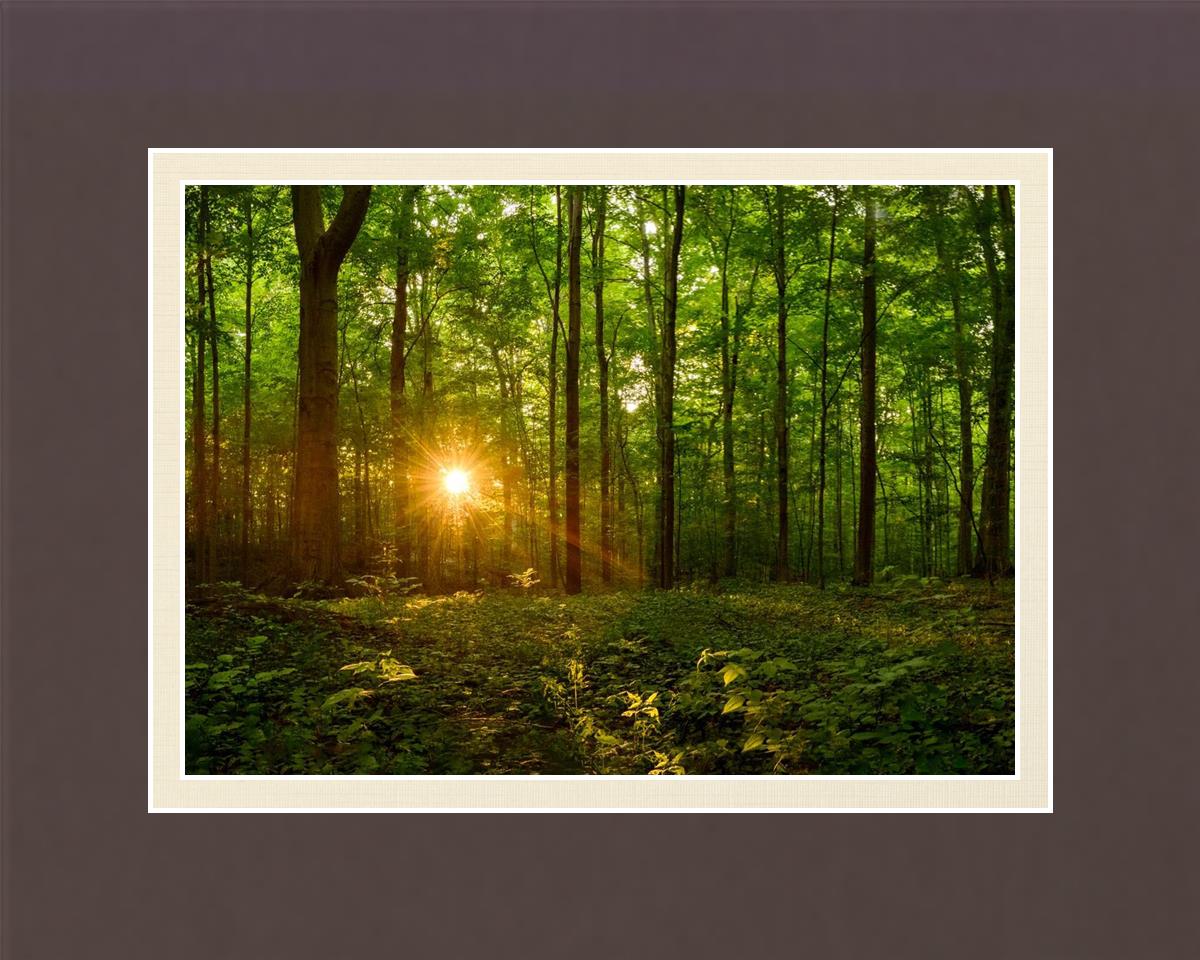 Sacred Morning
