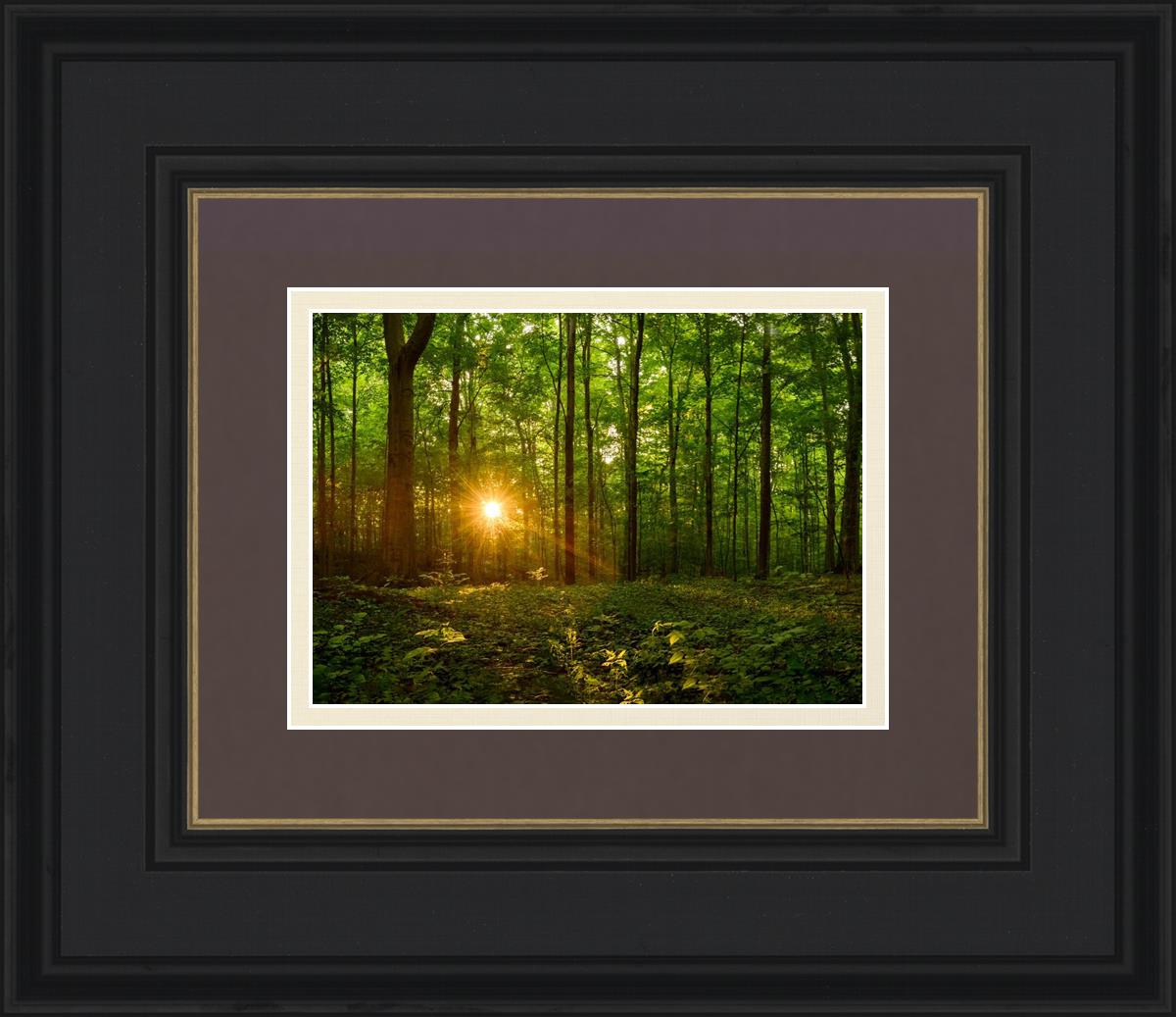 Sacred Morning