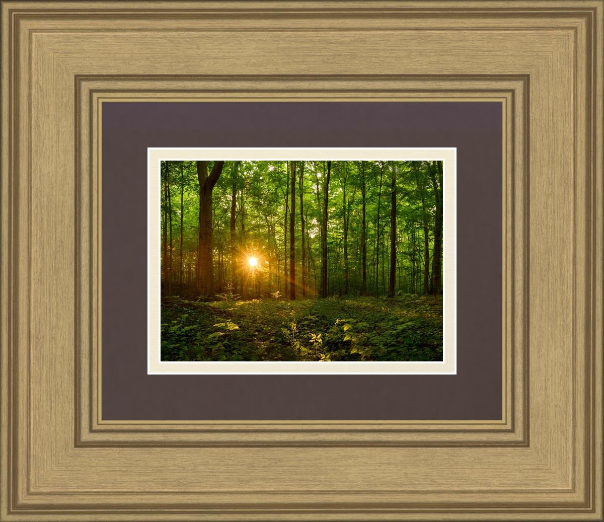 Sacred Morning