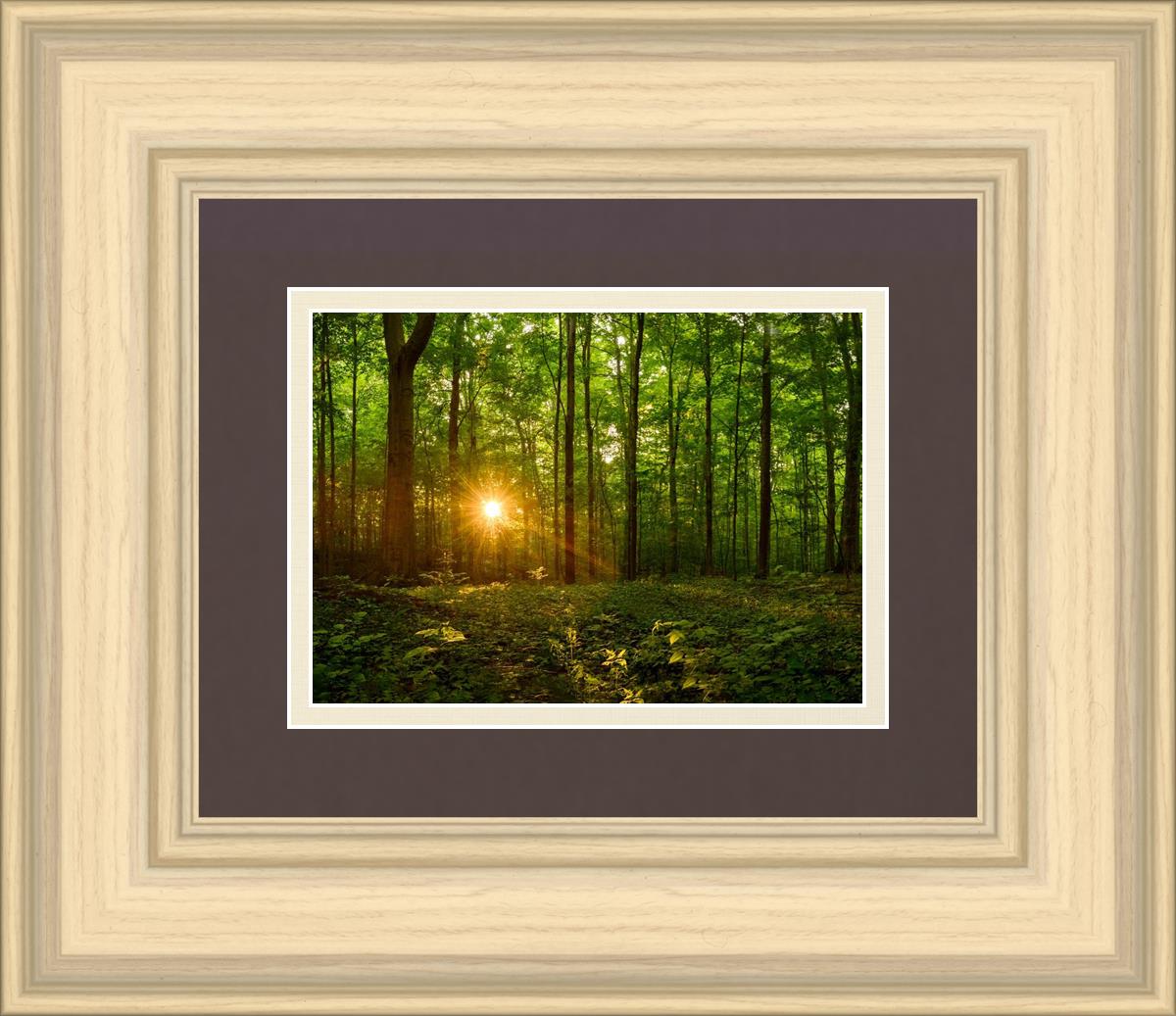 Sacred Morning