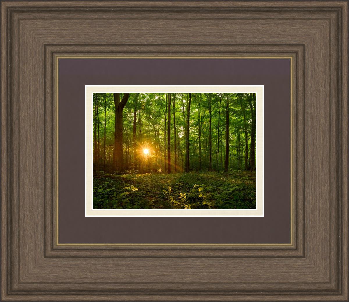 Sacred Morning