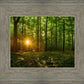 Sacred Morning