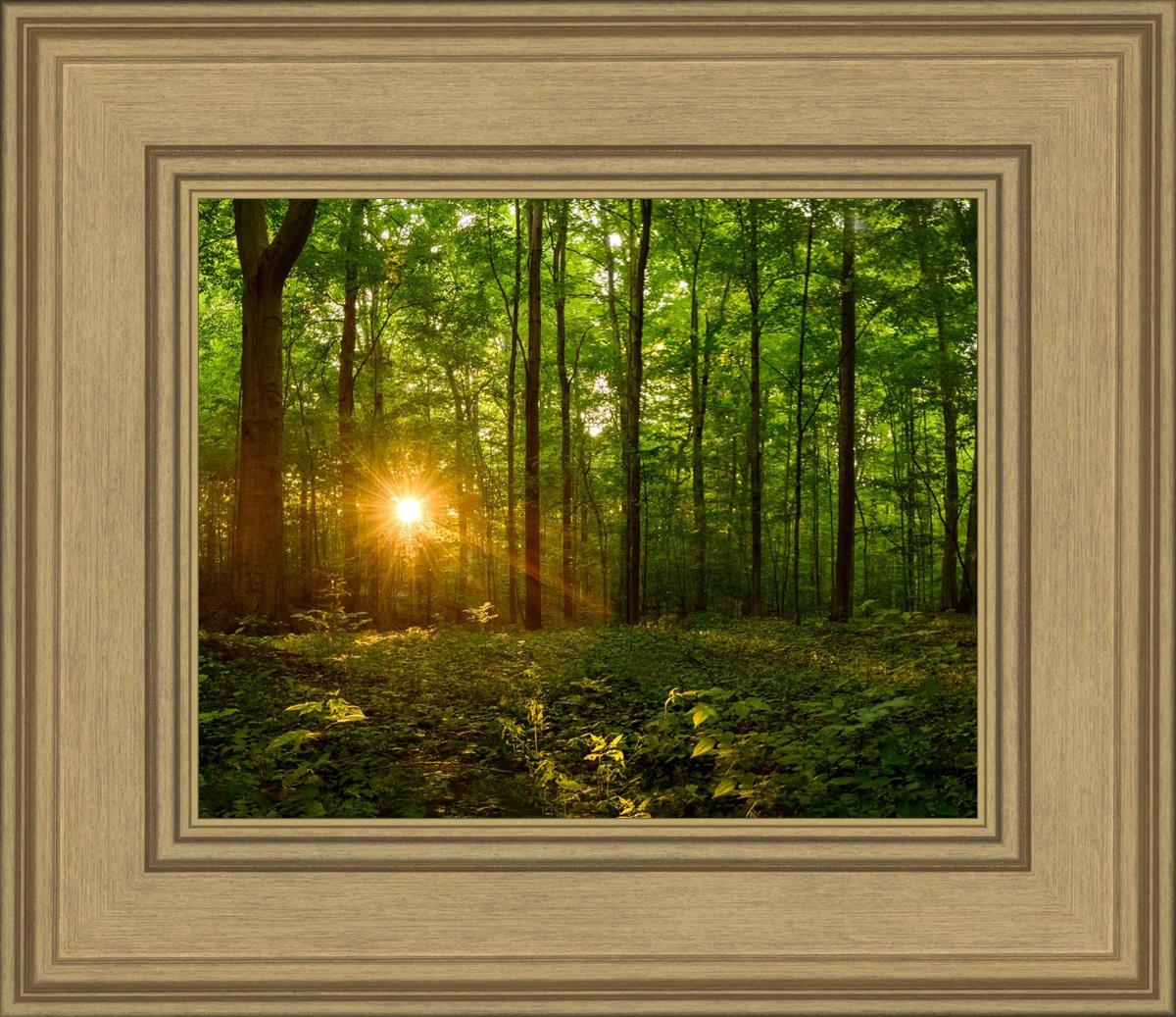 Sacred Morning