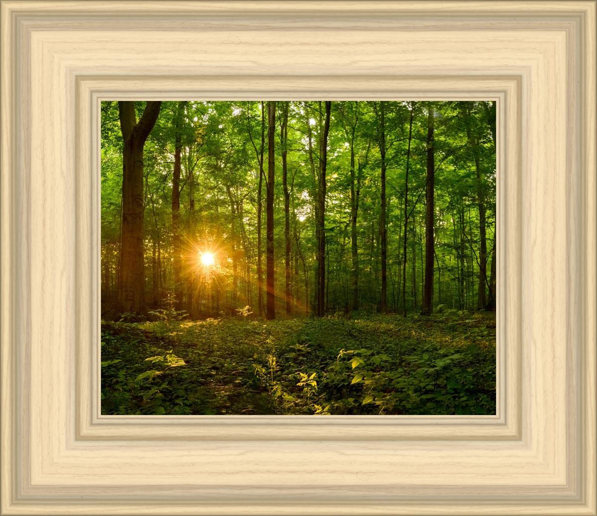 Sacred Morning