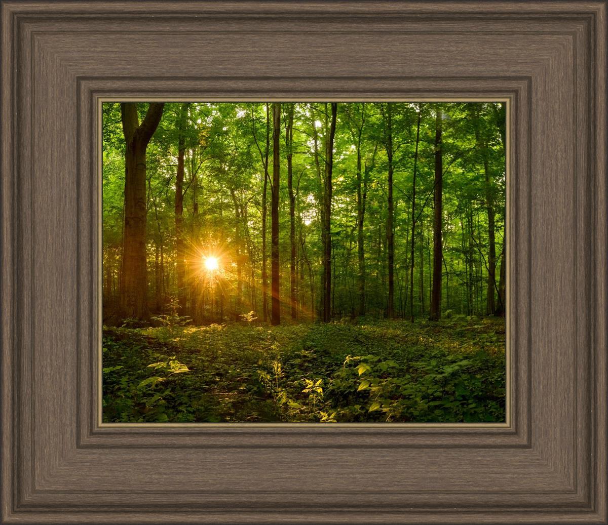 Sacred Morning
