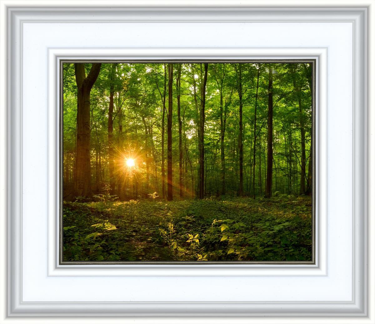 Sacred Morning