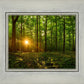 Sacred Morning