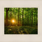 Sacred Morning