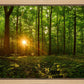 Sacred Morning