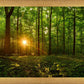Sacred Morning