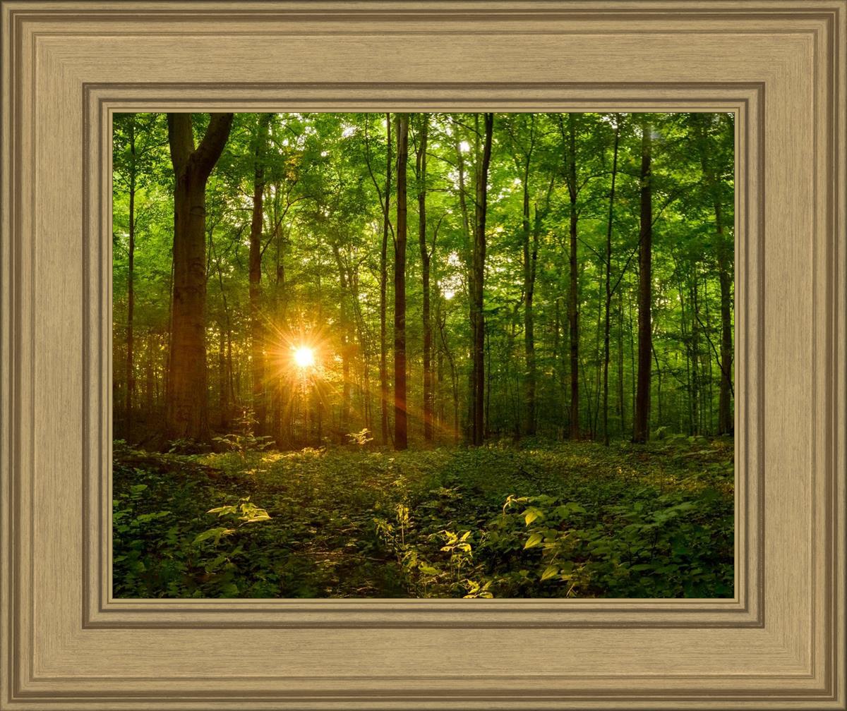 Sacred Morning