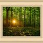 Sacred Morning