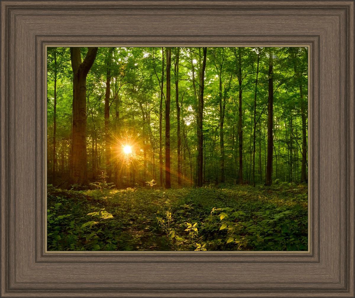 Sacred Morning