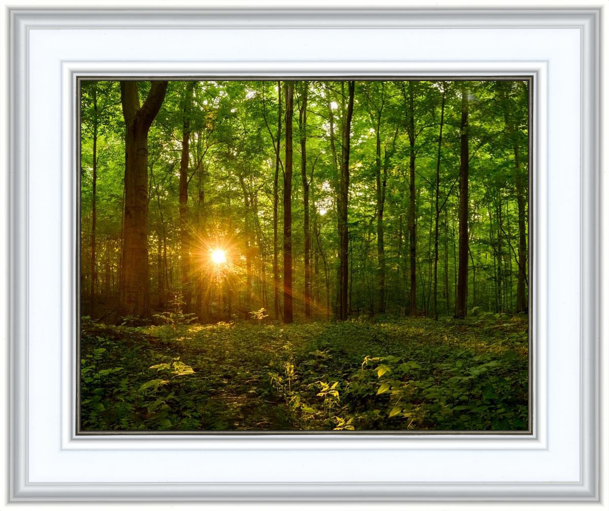 Sacred Morning