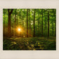 Sacred Morning