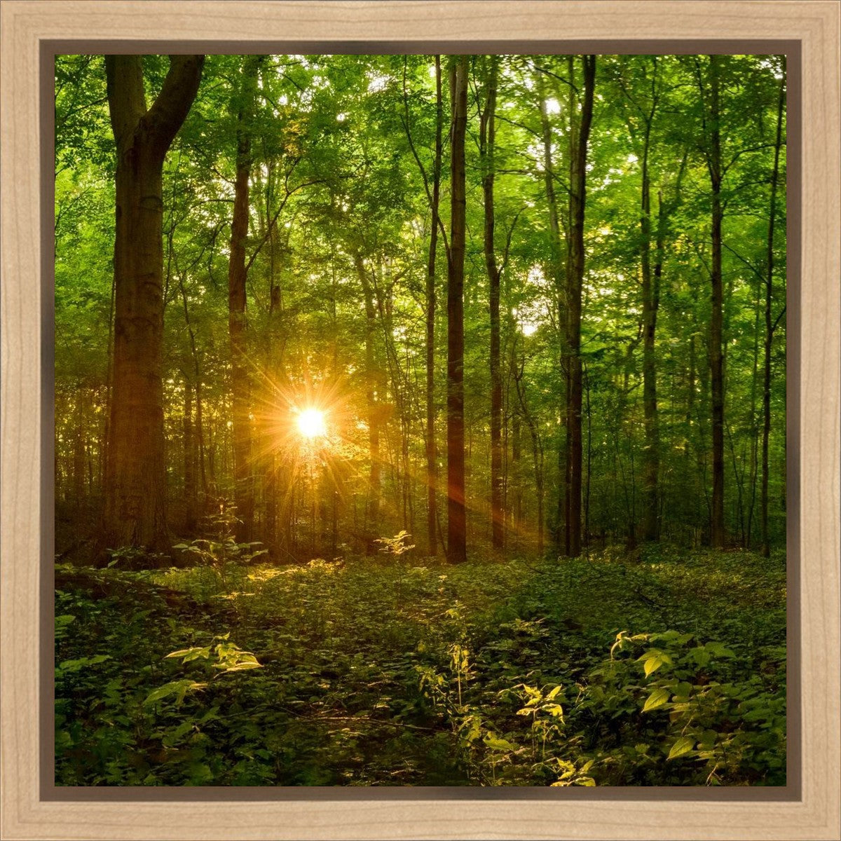 Sacred Morning Gallery Wrap