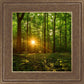 Sacred Morning