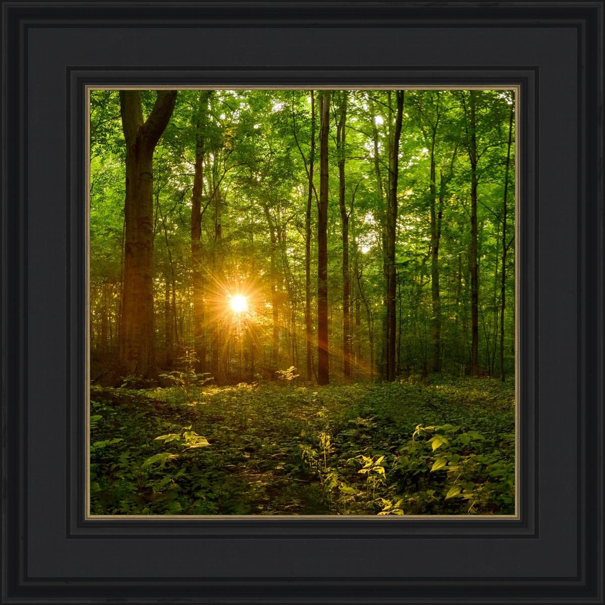 Sacred Morning