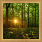 Sacred Morning
