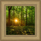 Sacred Morning