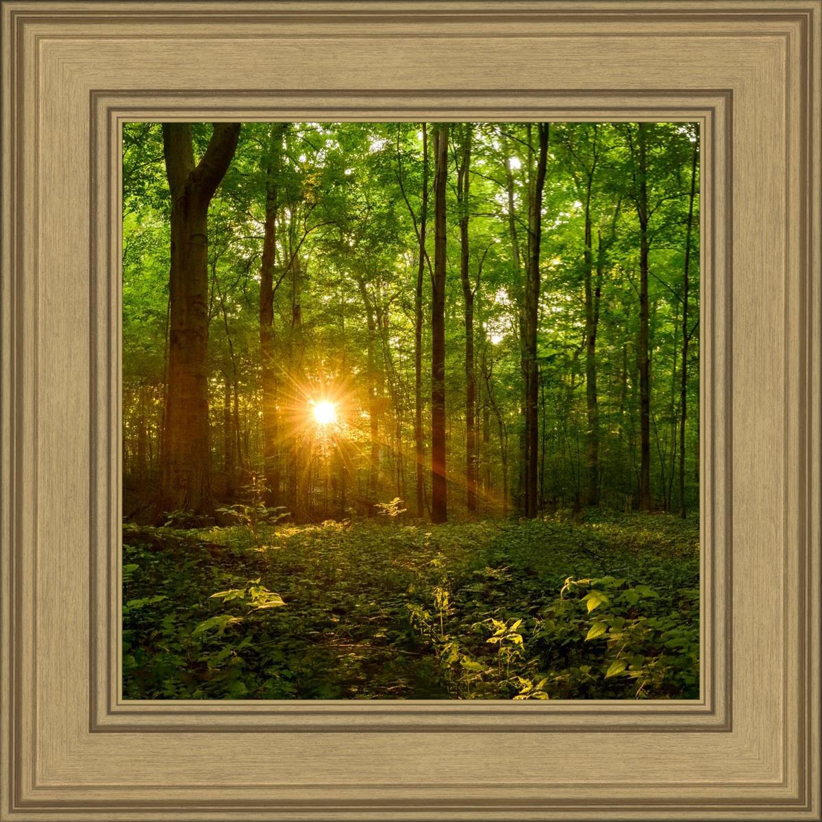 Sacred Morning