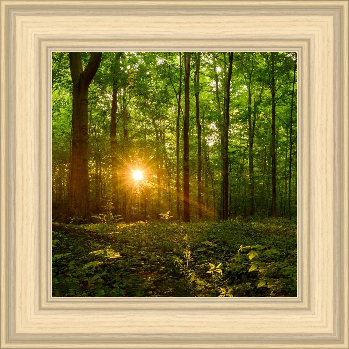 Sacred Morning