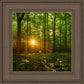 Sacred Morning