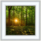 Sacred Morning