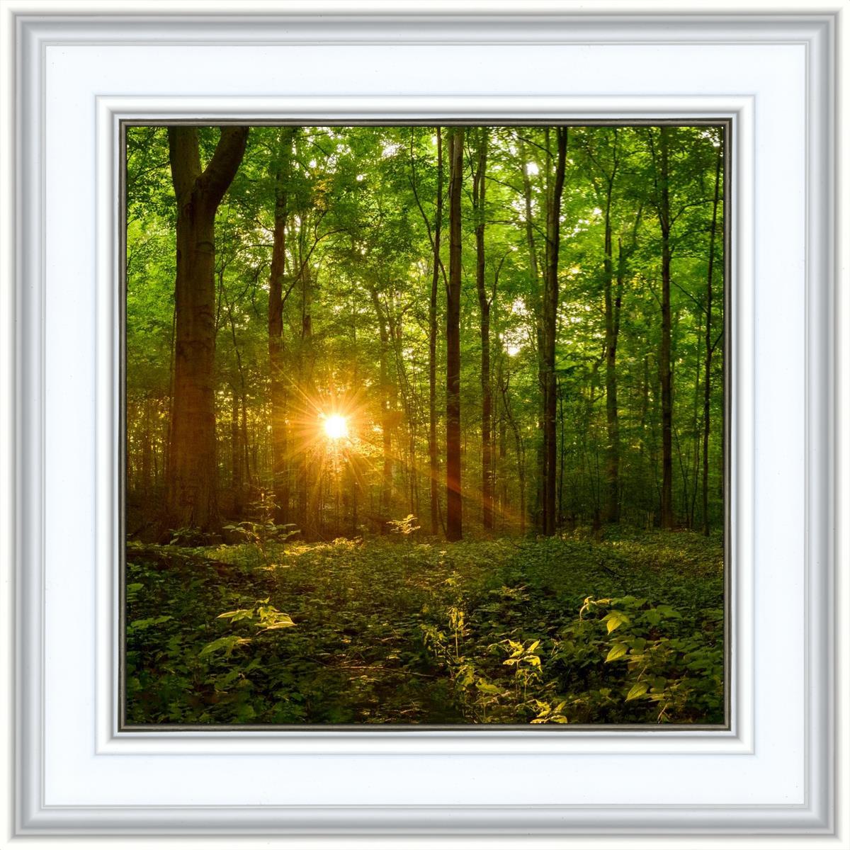 Sacred Morning