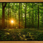 Sacred Morning
