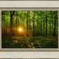 Sacred Morning
