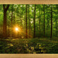 Sacred Morning