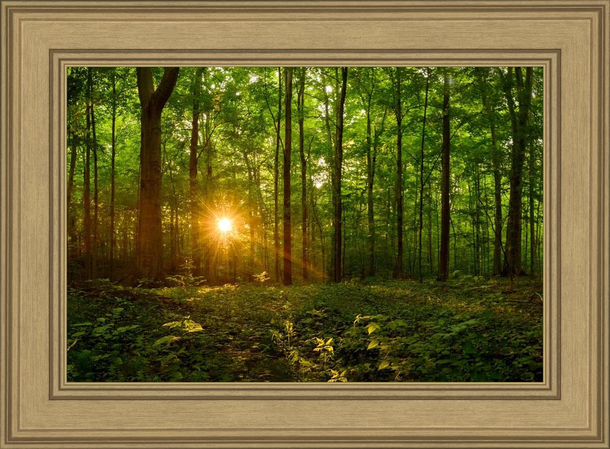Sacred Morning