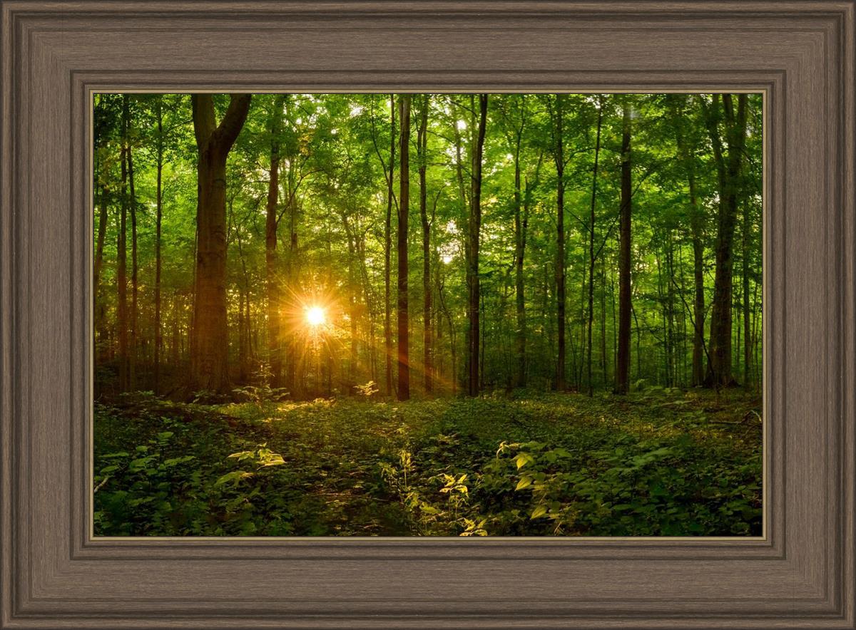 Sacred Morning