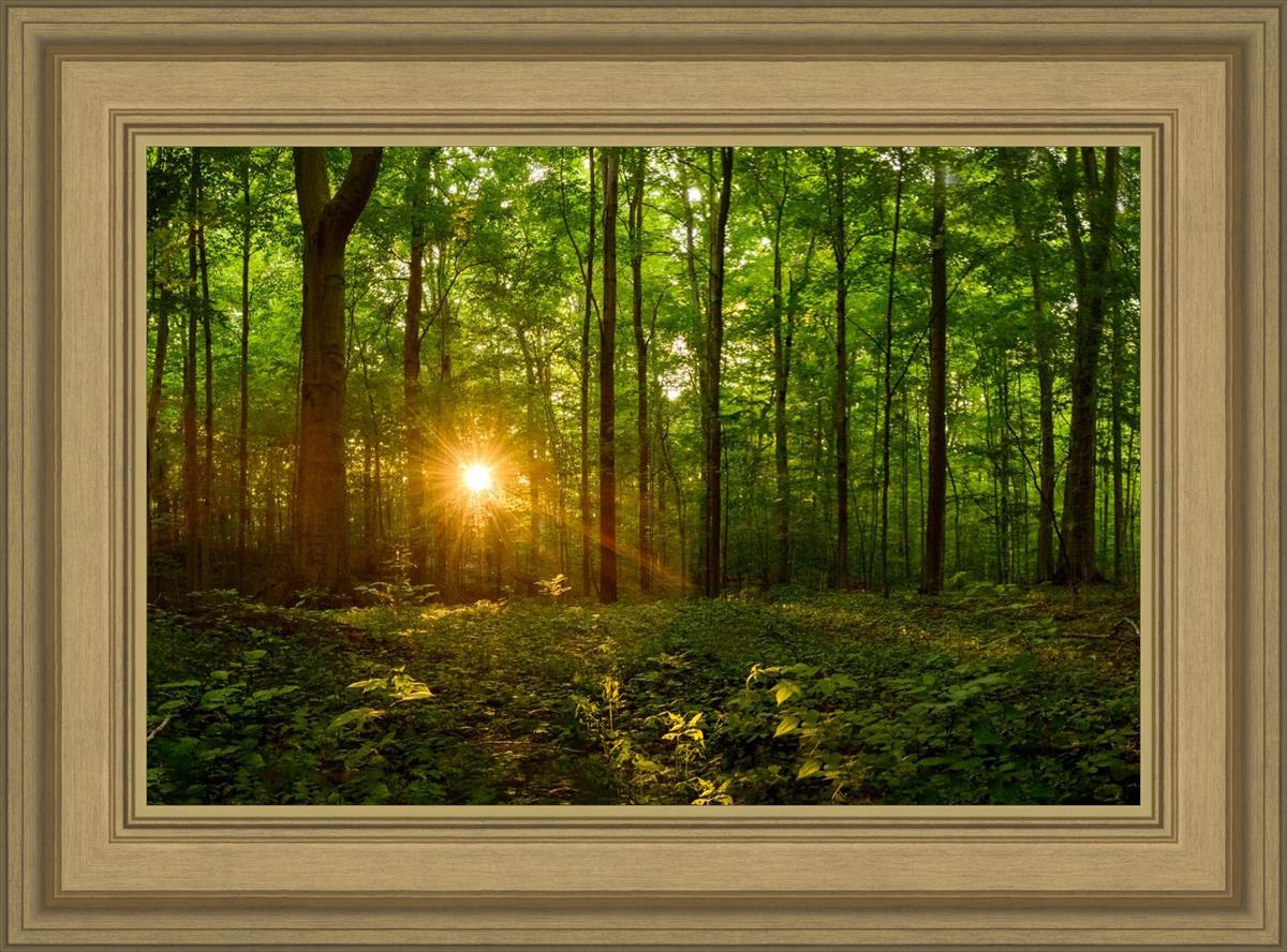 Sacred Morning