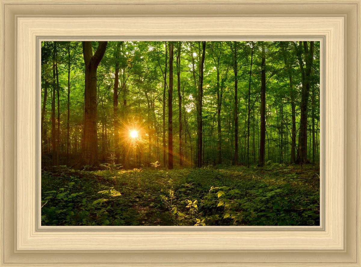 Sacred Morning