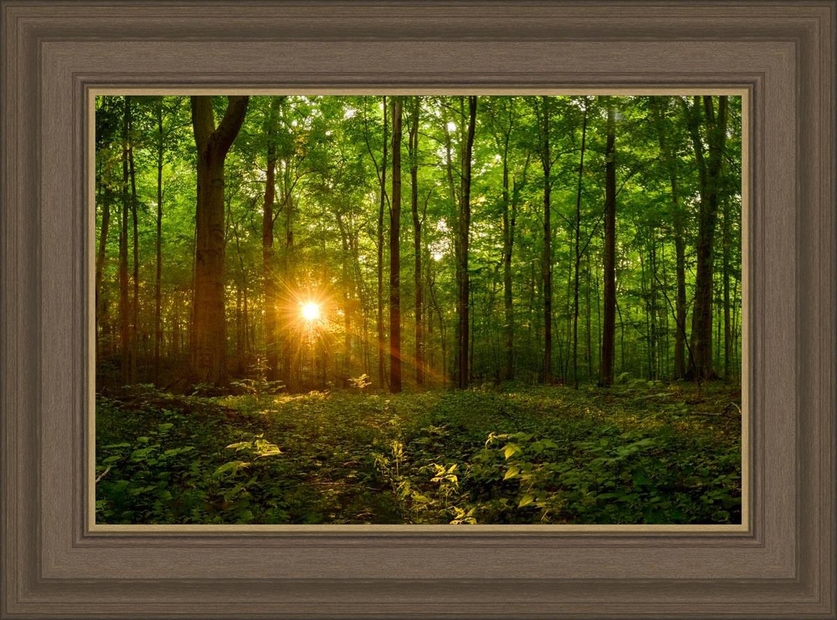 Sacred Morning