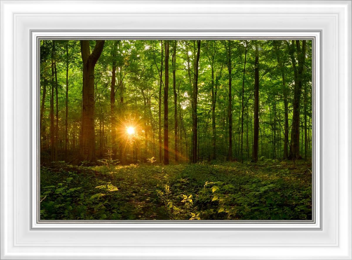 Sacred Morning