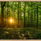 Sacred Morning