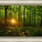 Sacred Morning