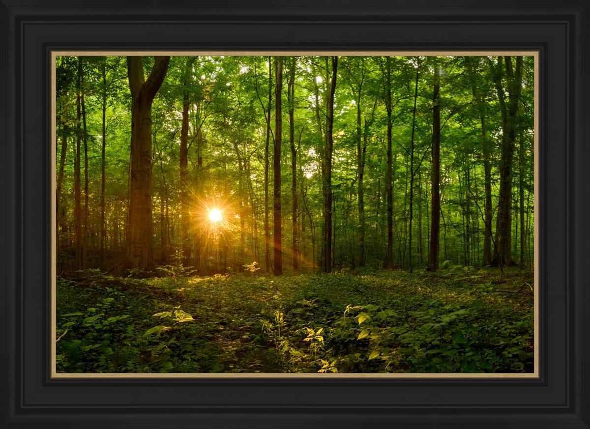 Sacred Morning