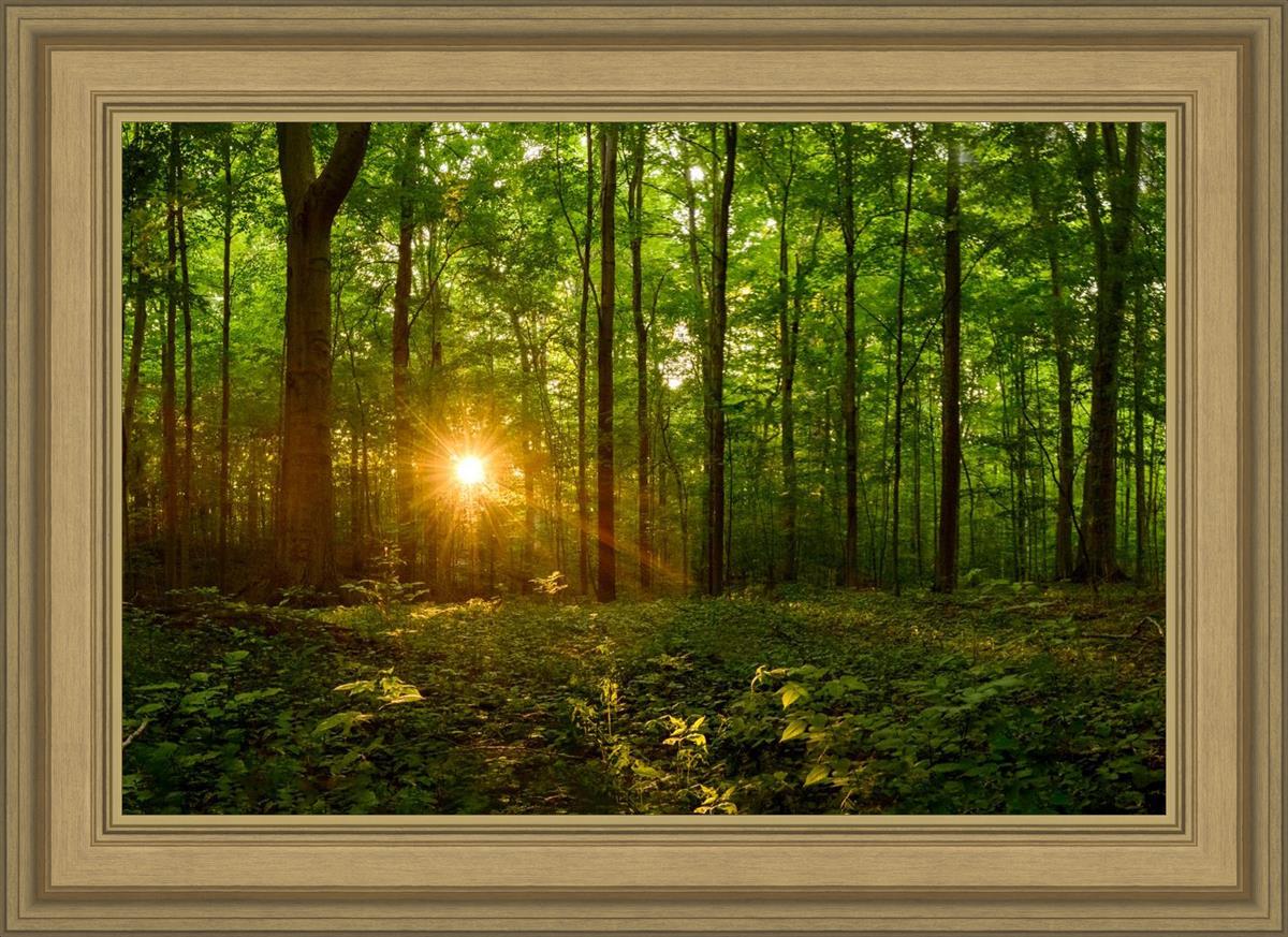 Sacred Morning