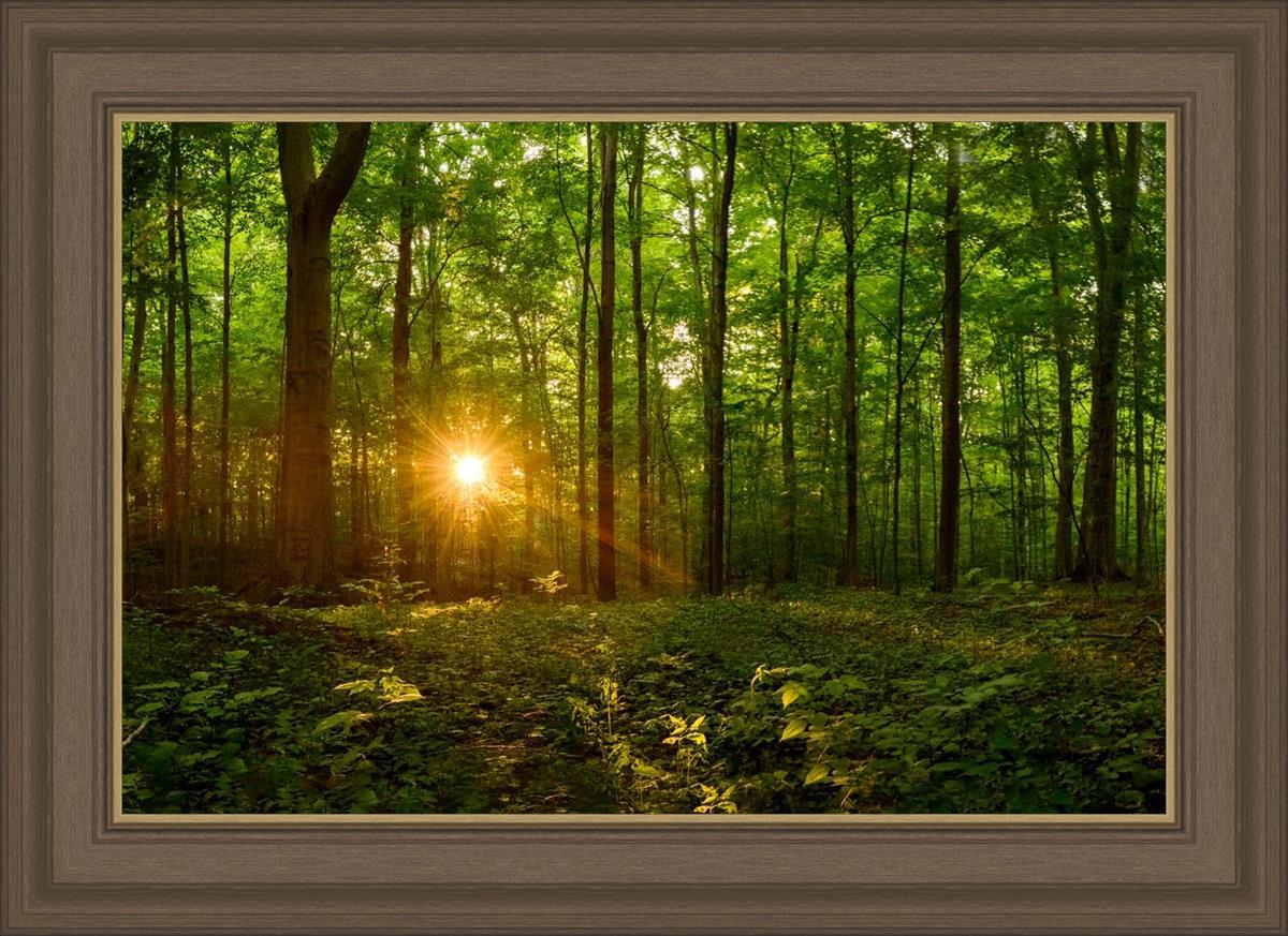 Sacred Morning