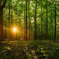 Sacred Morning