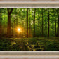 Sacred Morning