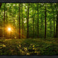 Sacred Morning