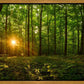 Sacred Morning