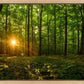 Sacred Morning
