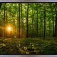 Sacred Morning
