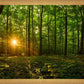 Sacred Morning